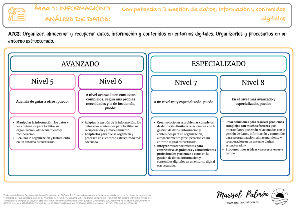 DigComp - Área 1 - Competencia 1.3 Nivel avanzado y especializado