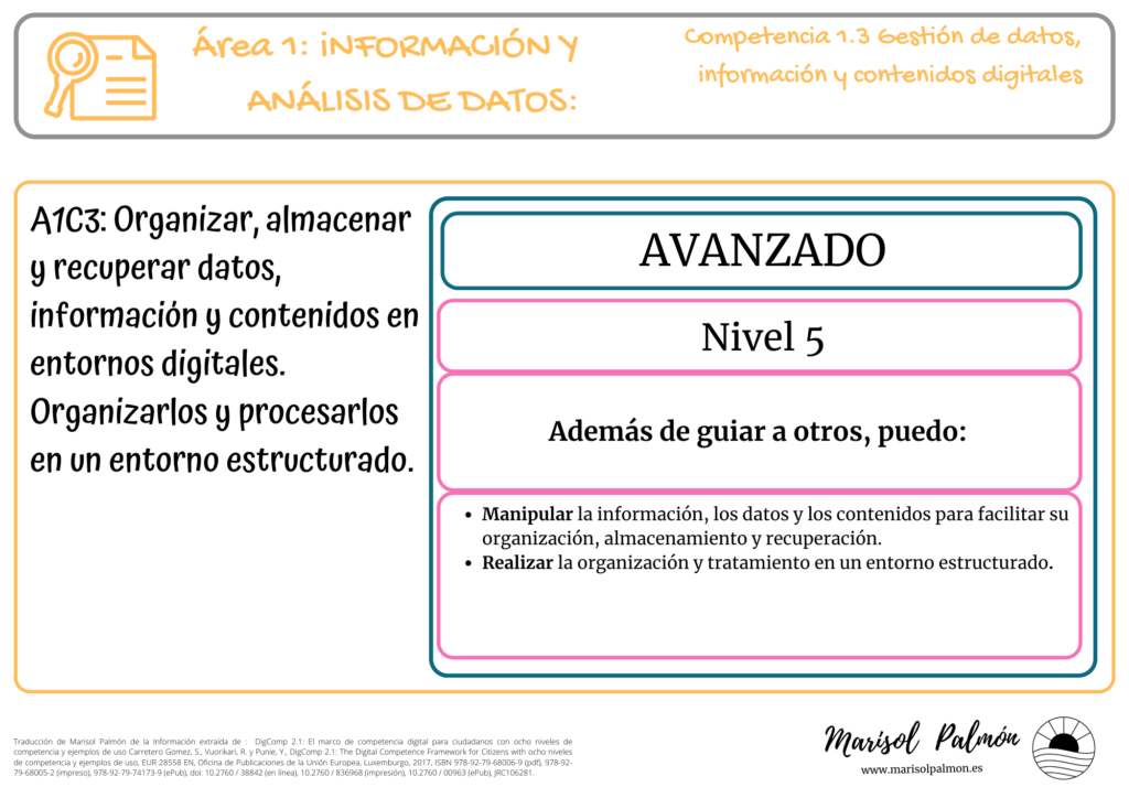 DigComp 1.3 - Nivel 5