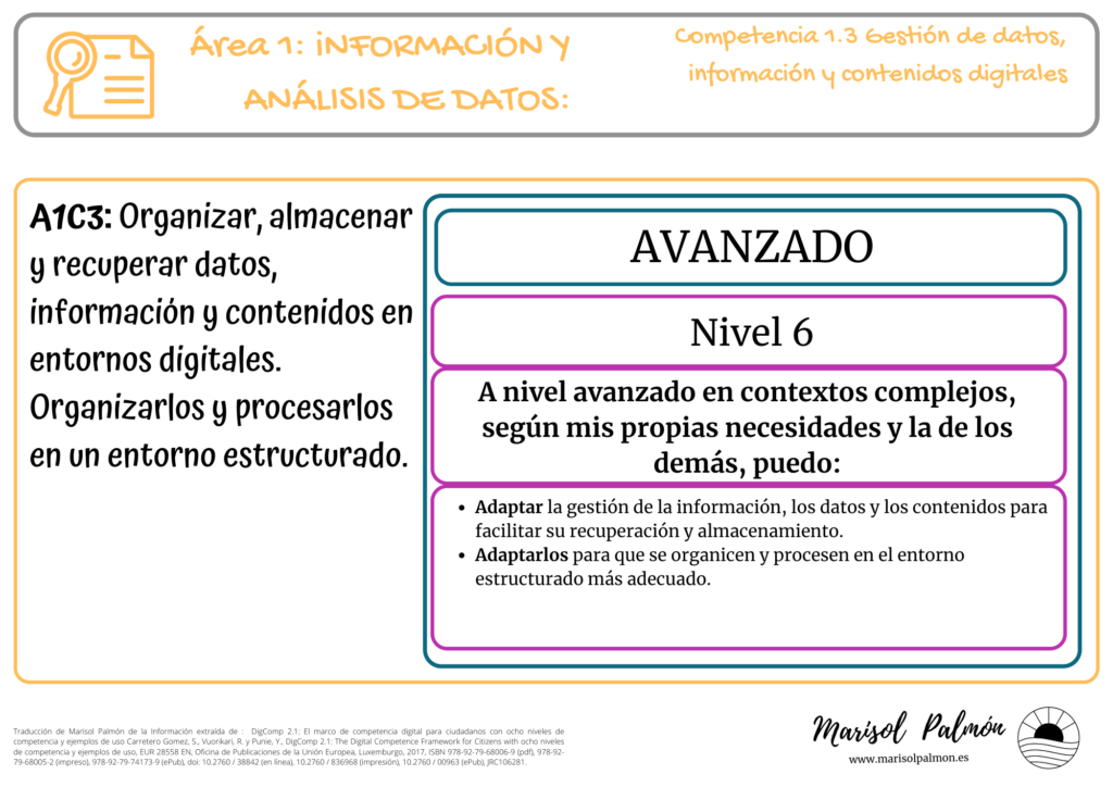 DigComp 1.3 - Nivel 6